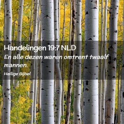 Picture 02 - Handelingen 19:7 NLD - En alle dezen waren omtrent twaalf - Bible Verse Picture