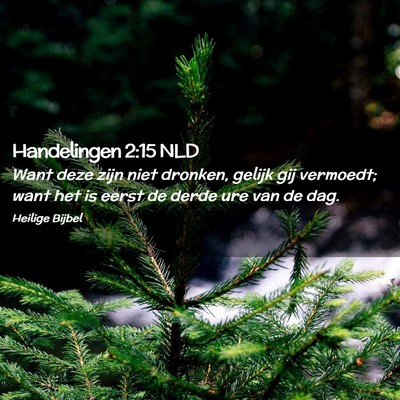 Picture 02 - Handelingen 2:15 NLD - Want deze zijn niet dronken, gelijk gij vermoedt; - Bible Verse Picture