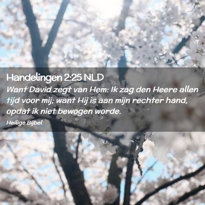 Picture 02 - Handelingen 2:25 NLD - Want David zegt van Hem: Ik zag den Heere allen - Bible Verse Picture