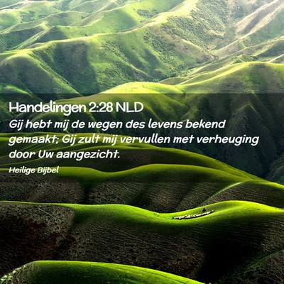 Picture 02 - Handelingen 2:28 NLD - Gij hebt mij de wegen des levens bekend gemaakt; - Bible Verse Picture