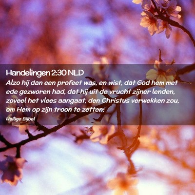 Picture 02 - Handelingen 2:30 NLD - Alzo hij dan een profeet was, en wist, dat God - Bible Verse Picture