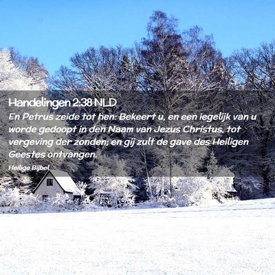 Picture 02 - Handelingen 2:38 NLD - En Petrus zeide tot hen: Bekeert u, en een - Bible Verse Picture