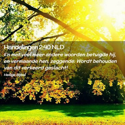Picture 02 - Handelingen 2:40 NLD - En met veel meer andere woorden betuigde hij, en - Bible Verse Picture