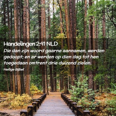 Picture 02 - Handelingen 2:41 NLD - Die dan zijn woord gaarne aannamen, werden - Bible Verse Picture