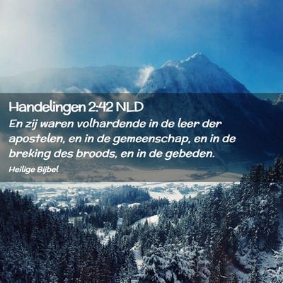 Picture 02 - Handelingen 2:42 NLD - En zij waren volhardende in de leer der - Bible Verse Picture
