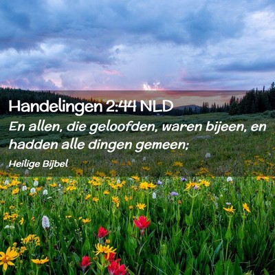 Picture 02 - Handelingen 2:44 NLD - En allen, die geloofden, waren bijeen, en hadden - Bible Verse Picture