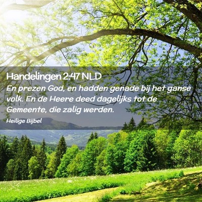 Picture 02 - Handelingen 2:47 NLD - En prezen God, en hadden genade bij het ganse - Bible Verse Picture