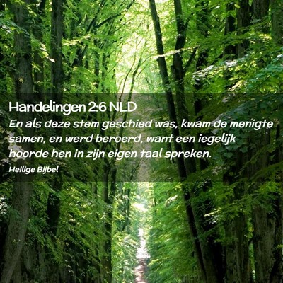 Picture 02 - Handelingen 2:6 NLD - En als deze stem geschied was, kwam de menigte - Bible Verse Picture