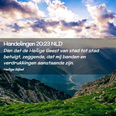 Picture 02 - Handelingen 20:23 NLD - Dan dat de Heilige Geest van stad tot stad - Bible Verse Picture