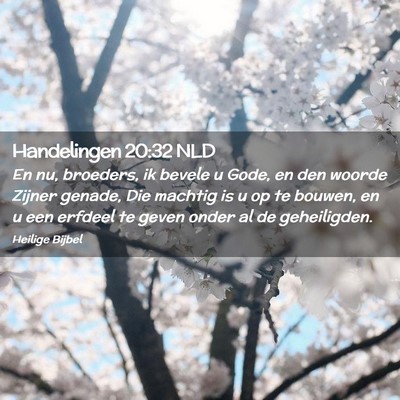 Picture 02 - Handelingen 20:32 NLD - En nu, broeders, ik bevele u Gode, en den woorde - Bible Verse Picture