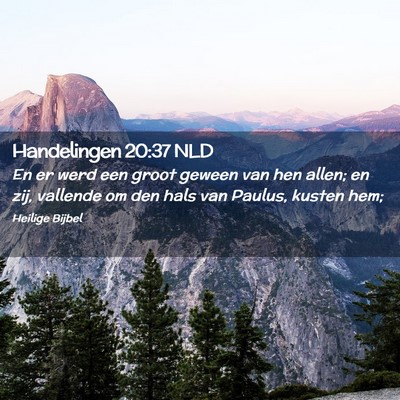 Picture 02 - Handelingen 20:37 NLD - En er werd een groot geween van hen allen; en - Bible Verse Picture