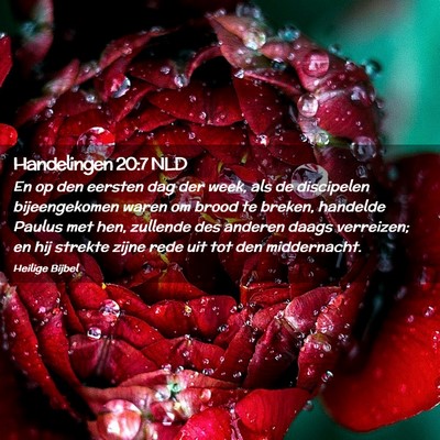 Picture 02 - Handelingen 20:7 NLD - En op den eersten dag der week, als de discipelen - Bible Verse Picture