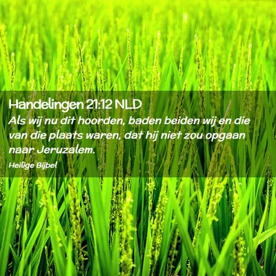 Picture 02 - Handelingen 21:12 NLD - Als wij nu dit hoorden, baden beiden wij en die - Bible Verse Picture