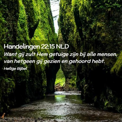 Picture 02 - Handelingen 22:15 NLD - Want gij zult Hem getuige zijn bij alle mensen, - Bible Verse Picture