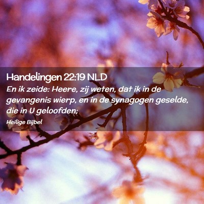 Picture 02 - Handelingen 22:19 NLD - En ik zeide: Heere, zij weten, dat ik in de - Bible Verse Picture