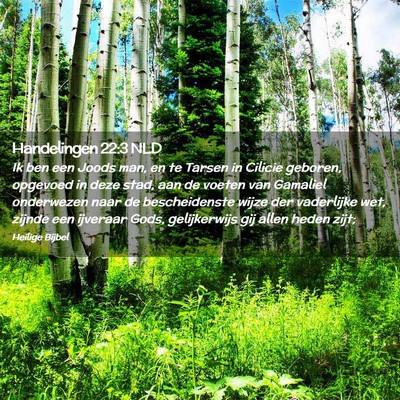 Picture 02 - Handelingen 22:3 NLD - Ik ben een Joods man, en te Tarsen in Cilicie - Bible Verse Picture