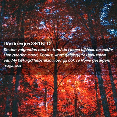 Picture 02 - Handelingen 23:11 NLD - En den volgenden nacht stond de Heere bij hem, en - Bible Verse Picture
