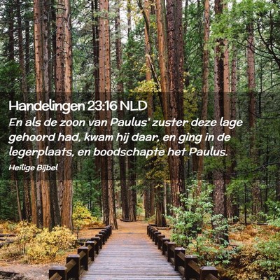 Picture 02 - Handelingen 23:16 NLD - En als de zoon van Paulus' zuster deze lage - Bible Verse Picture
