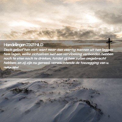 Picture 02 - Handelingen 23:21 NLD - Doch geloof hen niet; want meer dan veertig - Bible Verse Picture