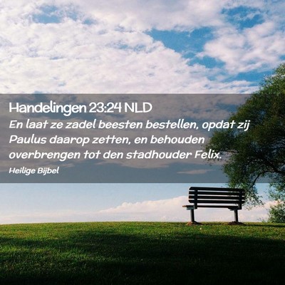 Picture 02 - Handelingen 23:24 NLD - En laat ze zadel beesten bestellen, opdat zij - Bible Verse Picture