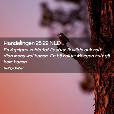 Picture 02 - Handelingen 25:22 NLD - En Agrippa zeide tot Festus: Ik wilde ook zelf - Bible Verse Picture