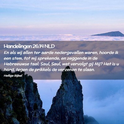 Picture 02 - Handelingen 26:14 NLD - En als wij allen ter aarde nedergevallen waren, - Bible Verse Picture
