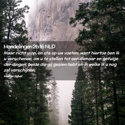 Picture 02 - Handelingen 26:16 NLD - Maar richt u op, en sta op uw voeten; want - Bible Verse Picture