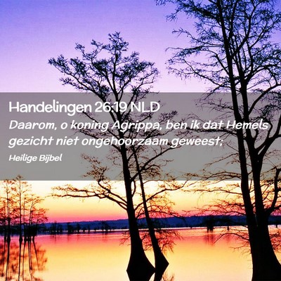Picture 02 - Handelingen 26:19 NLD - Daarom, o koning Agrippa, ben ik dat Hemels - Bible Verse Picture