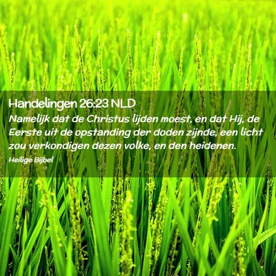 Picture 02 - Handelingen 26:23 NLD - Namelijk dat de Christus lijden moest, en dat - Bible Verse Picture