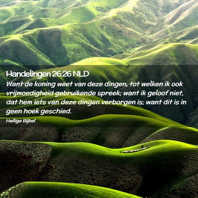 Picture 02 - Handelingen 26:26 NLD - Want de koning weet van deze dingen, tot welken - Bible Verse Picture