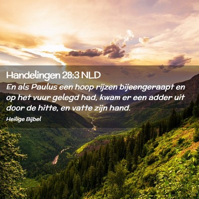 Picture 02 - Handelingen 28:3 NLD - En als Paulus een hoop rijzen bijeengeraapt en op - Bible Verse Picture