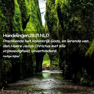 Picture 02 - Handelingen 28:31 NLD - Predikende het Koninkrijk Gods, en lerende van - Bible Verse Picture