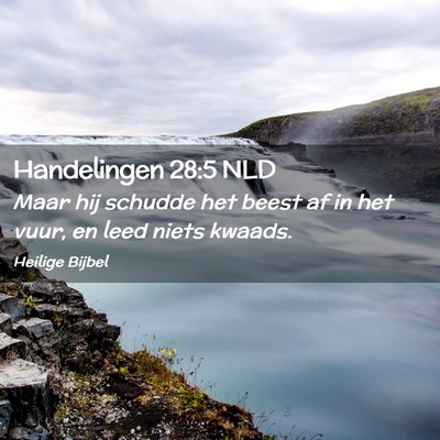Picture 02 - Handelingen 28:5 NLD - Maar hij schudde het beest af in het vuur, en - Bible Verse Picture