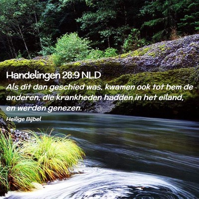 Picture 02 - Handelingen 28:9 NLD - Als dit dan geschied was, kwamen ook tot hem de - Bible Verse Picture