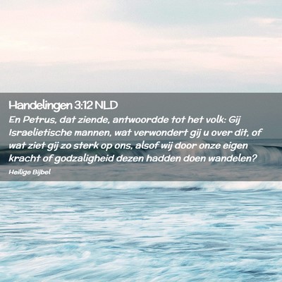 Picture 02 - Handelingen 3:12 NLD - En Petrus, dat ziende, antwoordde tot het volk: - Bible Verse Picture