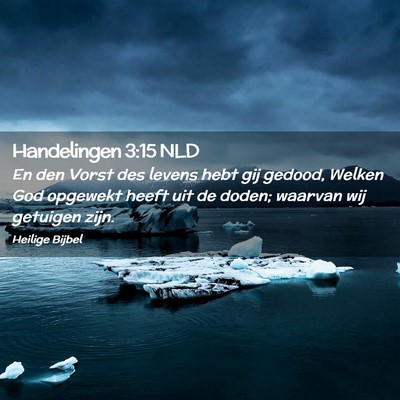 Picture 02 - Handelingen 3:15 NLD - En den Vorst des levens hebt gij gedood, Welken - Bible Verse Picture