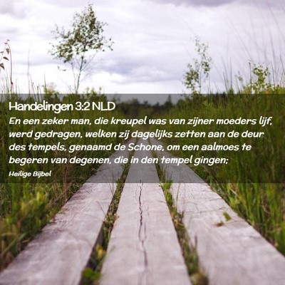 Picture 02 - Handelingen 3:2 NLD - En een zeker man, die kreupel was van zijner - Bible Verse Picture