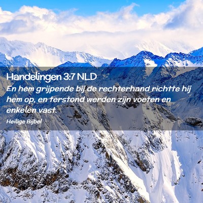 Picture 02 - Handelingen 3:7 NLD - En hem grijpende bij de rechterhand richtte hij - Bible Verse Picture