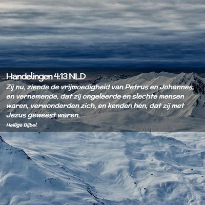 Picture 02 - Handelingen 4:13 NLD - Zij nu, ziende de vrijmoedigheid van Petrus en - Bible Verse Picture