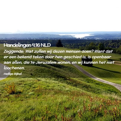 Picture 02 - Handelingen 4:16 NLD - Zeggende: Wat zullen wij dezen mensen doen? Want - Bible Verse Picture