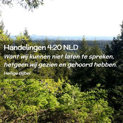 Picture 02 - Handelingen 4:20 NLD - Want wij kunnen niet laten te spreken, hetgeen - Bible Verse Picture