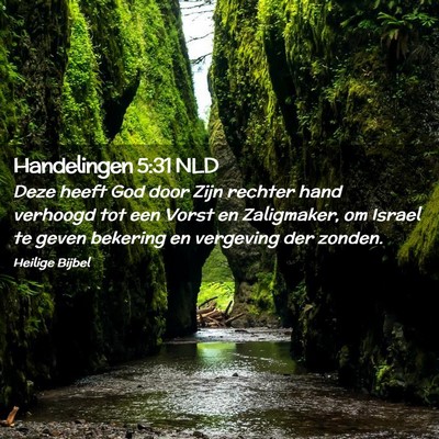 Picture 02 - Handelingen 5:31 NLD - Deze heeft God door Zijn rechter hand verhoogd - Bible Verse Picture
