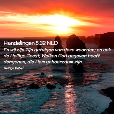 Picture 02 - Handelingen 5:32 NLD - En wij zijn Zijn getuigen van deze woorden; en - Bible Verse Picture