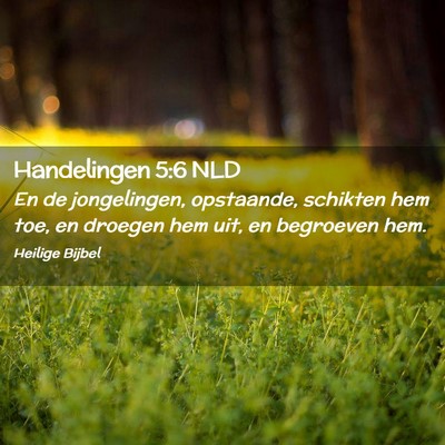 Picture 02 - Handelingen 5:6 NLD - En de jongelingen, opstaande, schikten hem toe, - Bible Verse Picture