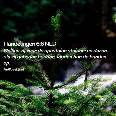 Picture 02 - Handelingen 6:6 NLD - Welken zij voor de apostelen stelden; en dezen, - Bible Verse Picture