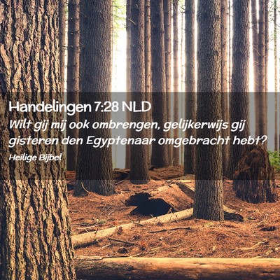 Picture 02 - Handelingen 7:28 NLD - Wilt gij mij ook ombrengen, gelijkerwijs gij - Bible Verse Picture