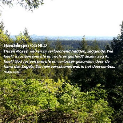 Picture 02 - Handelingen 7:35 NLD - Dezen Mozes, welken zij verloochend hadden, - Bible Verse Picture