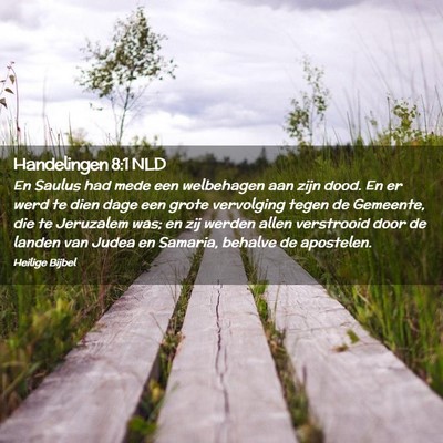 Picture 02 - Handelingen 8:1 NLD - En Saulus had mede een welbehagen aan zijn dood. - Bible Verse Picture