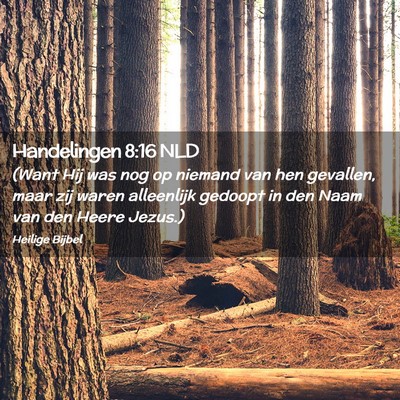 Picture 02 - Handelingen 8:16 NLD - (Want Hij was nog op niemand van hen gevallen, - Bible Verse Picture