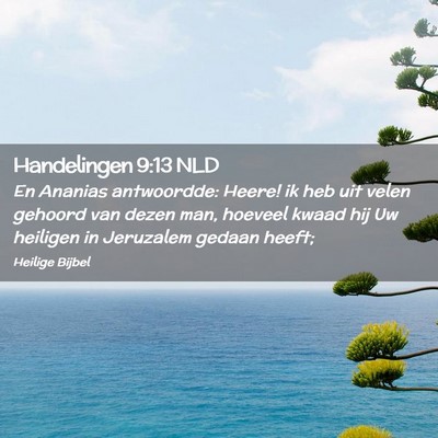 Picture 02 - Handelingen 9:13 NLD - En Ananias antwoordde: Heere! ik heb uit velen - Bible Verse Picture